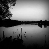 /album/riccagilham/photolia-b01-jpg/